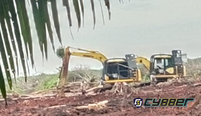 Siapa yang Bermain...!?, 2 unit Alat Berat Beroperasi Diduga Rambah Hutan Konservasi di Pelalawan